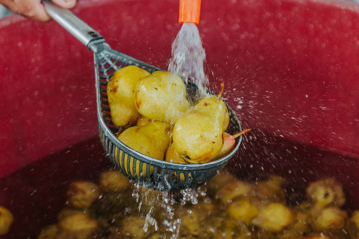 £$I maestri raccontano...$£ Le Morre, dove la frutta diventa arte in bottiglia