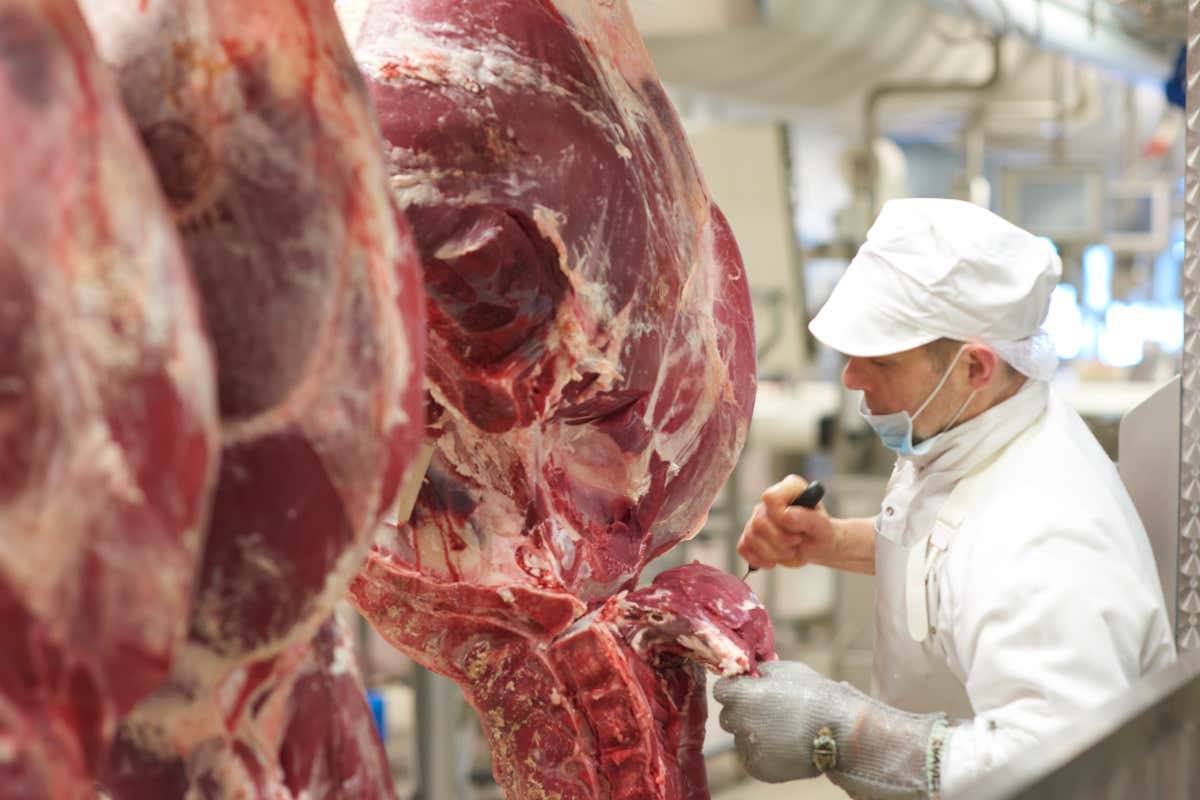 Lombardia Carni: qualità e freschezza al servizio (anche) della ristorazione Lombardia Carni: qualità e freschezza al servizio (anche) della ristorazione