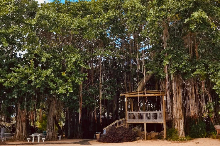 Casa del Rum Banyan Tree Mauritius, una cucina con l’Italia nel cuore