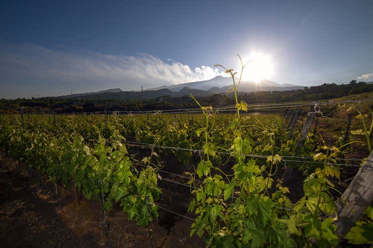 (La Venere Callipigia, 1ª edizione Il concorso nazionale all'ombra dell'Etna) (La Venere Callipigia, 1ª edizione Il concorso nazionale all'ombra dell'Etna)
