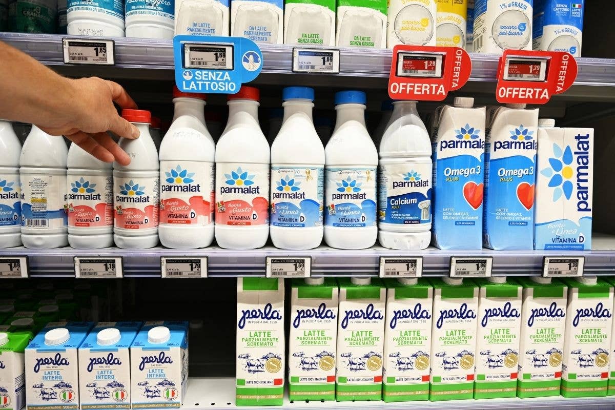 Lactalis regina assoluta della filiera del latte italiana: ecco perché