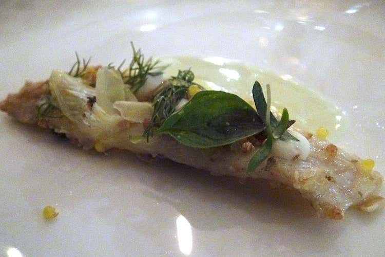 (Laudemio in viaggio per l'Italia La 5&ordf; tappa del tour da Matteo Grandi)