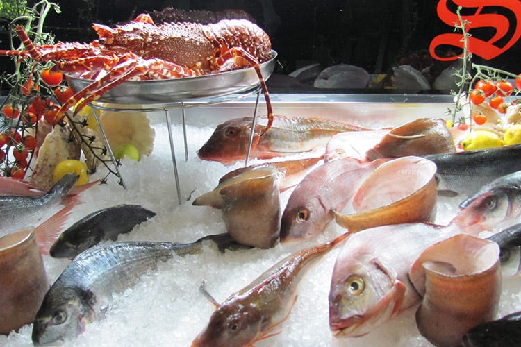 Il banco del pesce (Le Stagioni a Orio vola alto da 50 anni)