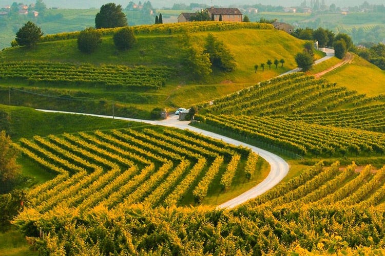 La strada del Prosecco tra le colline di Conegliano e Valdobbiadene (Le colline del Prosecco sono Patrimonio Unesco)