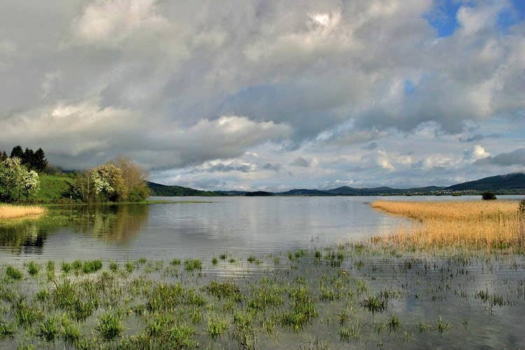 Cerkniško jezero, il più grande lago intermittente d’Europa - Le meraviglie naturali del Carso Tra grotte, laghi e prodotti tipici