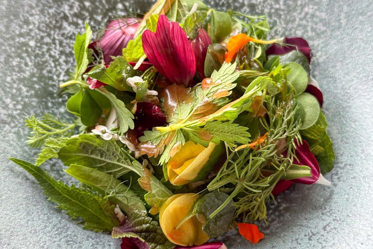 L'orto incontra il mare al Gabbiano 3.0: in cucina solo ingredienti di stagione