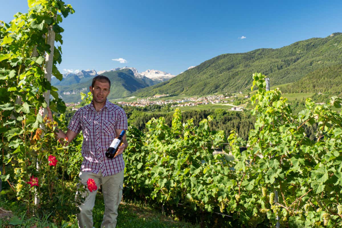 Lorenzo Zadra Cantina El Zeremia credit Marco Simonini Viaggio nel tempo alla riscoperta del Groppello bianco