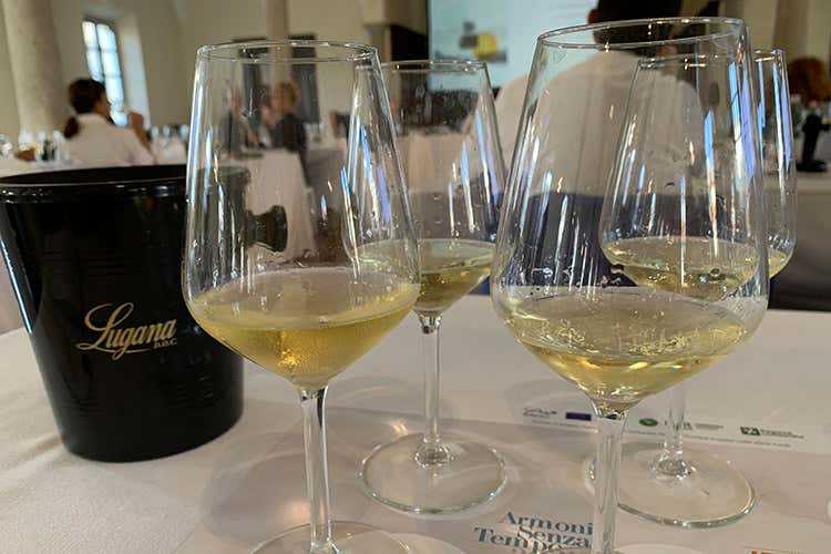 Calici di Lugana “Armonie senza tempo”: Lugana in passerella a Milano Calici di Lugana “Armonie senza tempo”: Lugana in passerella a Milano