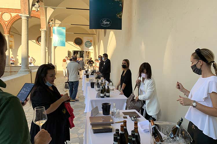 Lugana Armonie senza Tempo: le aziende vinicole “Armonie senza tempo”: Lugana in passerella a Milano Lugana Armonie senza Tempo: le aziende vinicole “Armonie senza tempo”: Lugana in passerella a Milano