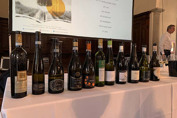 I Lugana proposti nella degustazione guidata da Ettore Nicoletto e Luciano Ferraro “Armonie senza tempo”: Lugana in passerella a Milano I Lugana proposti nella degustazione guidata da Ettore Nicoletto e Luciano Ferraro “Armonie senza tempo”: Lugana in passerella a Milano