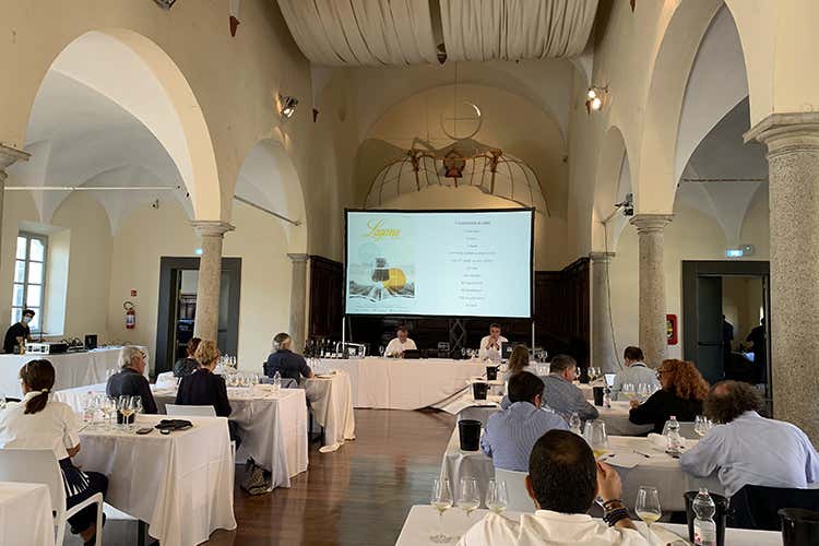 Degustazione in corso “Armonie senza tempo”: Lugana in passerella a Milano Degustazione in corso “Armonie senza tempo”: Lugana in passerella a Milano