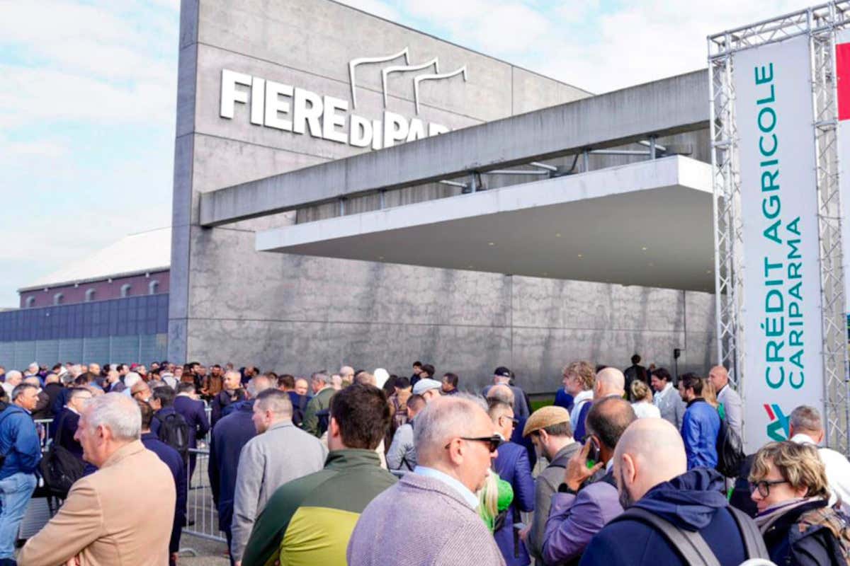 Fiere di Parma chiude il 2025 in crescita e consolida il piano di sviluppo