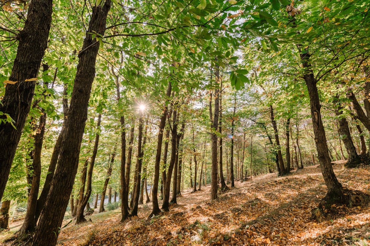 Relax d'autunno: fuga nella natura alla Tenuta de l’Annunziata