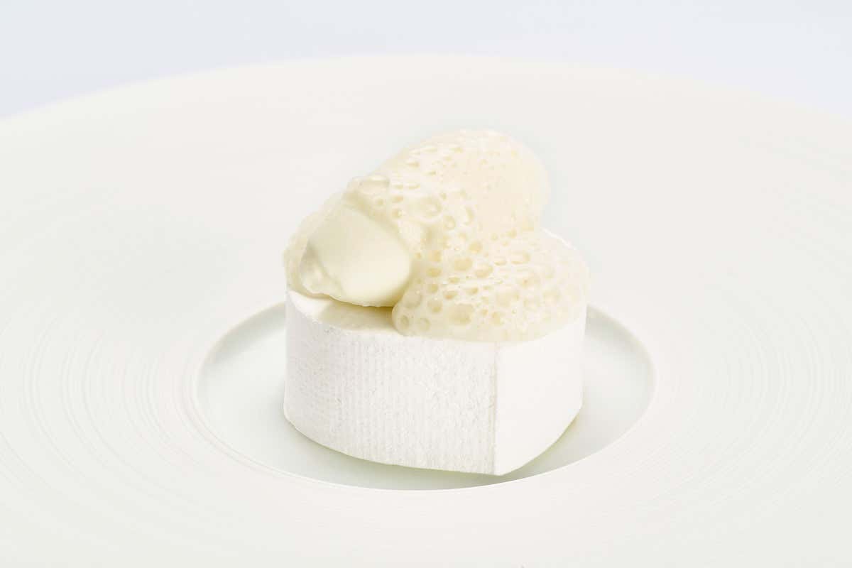 Dal limoneto al piatto: come la natura guida i menu del Volta del Fuenti Dal limoneto al piatto: come la natura guida i menu del Volta del Fuenti