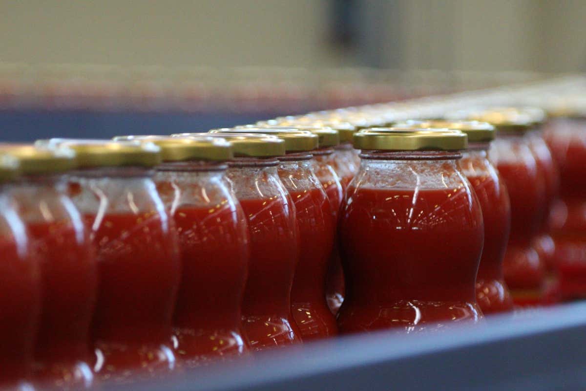 Rodolfi Mansueto completa il rebranding con il debutto della gamma Food Service