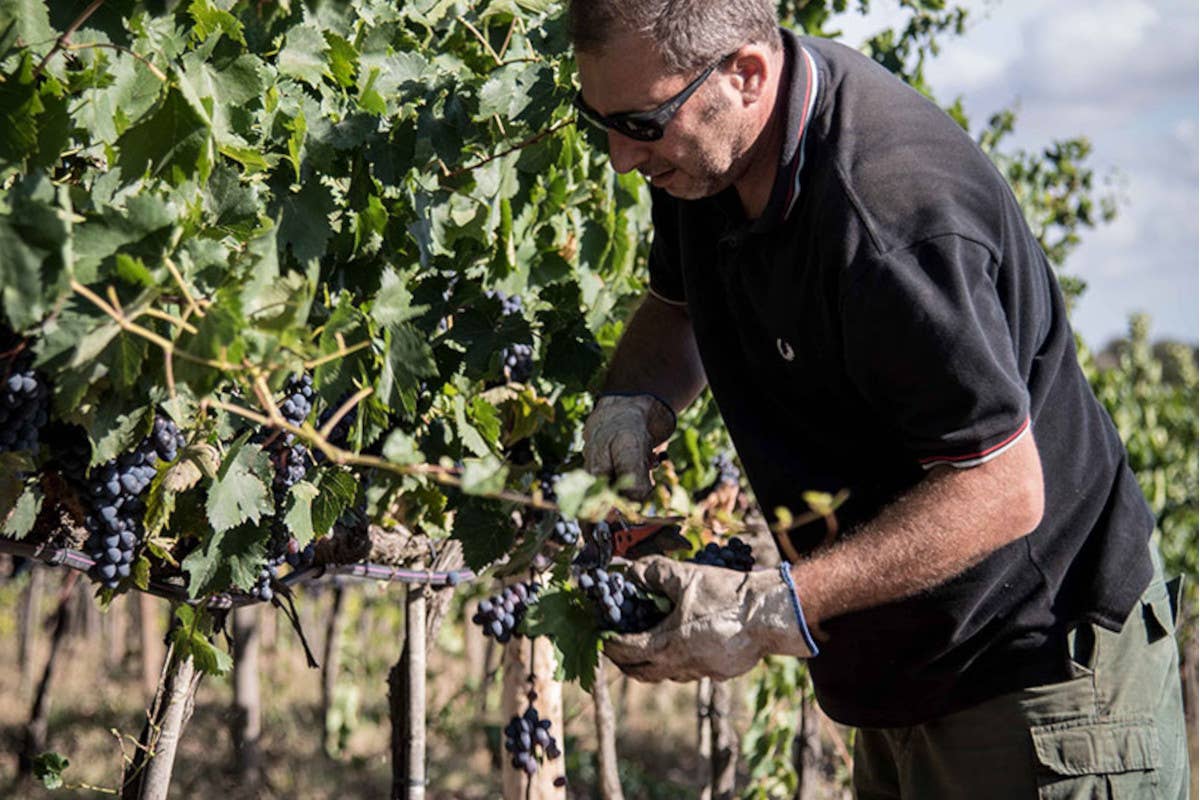 Dagli Etruschi ai Supertuscan: la magia del vino toscano in due territori iconici