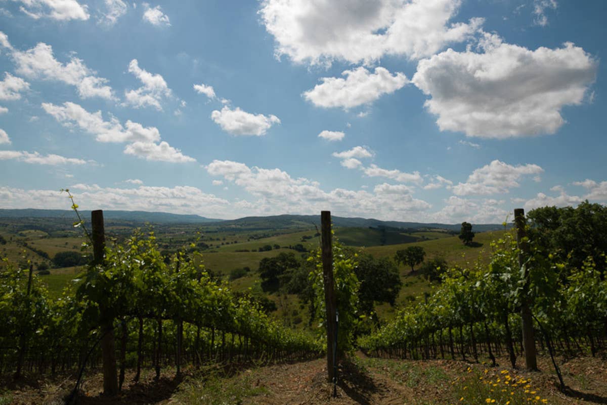 Dagli Etruschi ai Supertuscan: la magia del vino toscano in due territori iconici