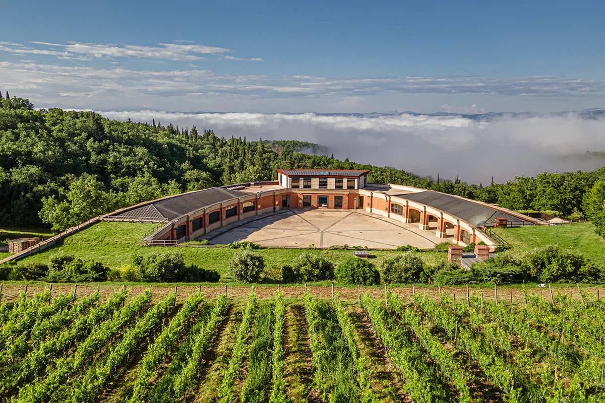 Dagli Etruschi ai Supertuscan: la magia del vino toscano in due territori iconici