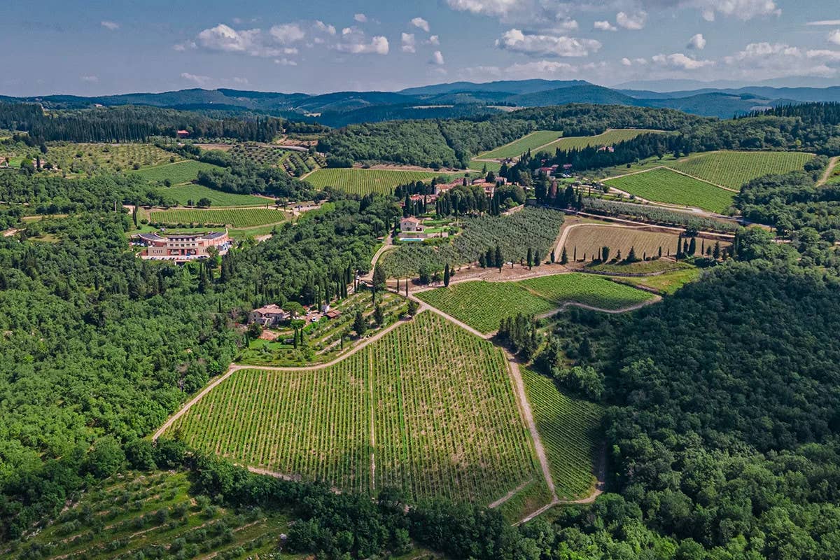 Dagli Etruschi ai Supertuscan: la magia del vino toscano in due territori iconici