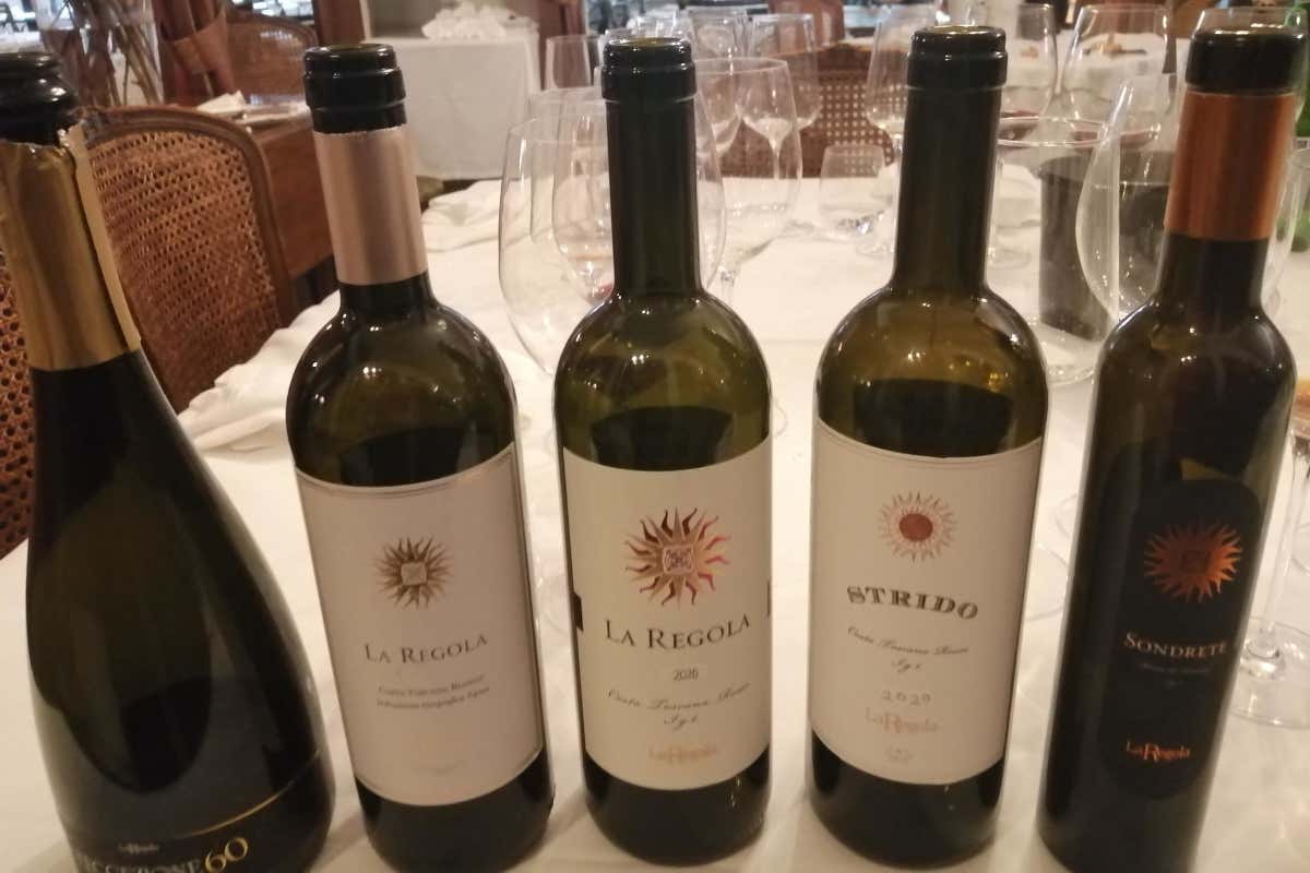 Vini, arte e cultura: la rivoluzione silenziosa de La Regola Vini, arte e cultura: la rivoluzione silenziosa de La Regola