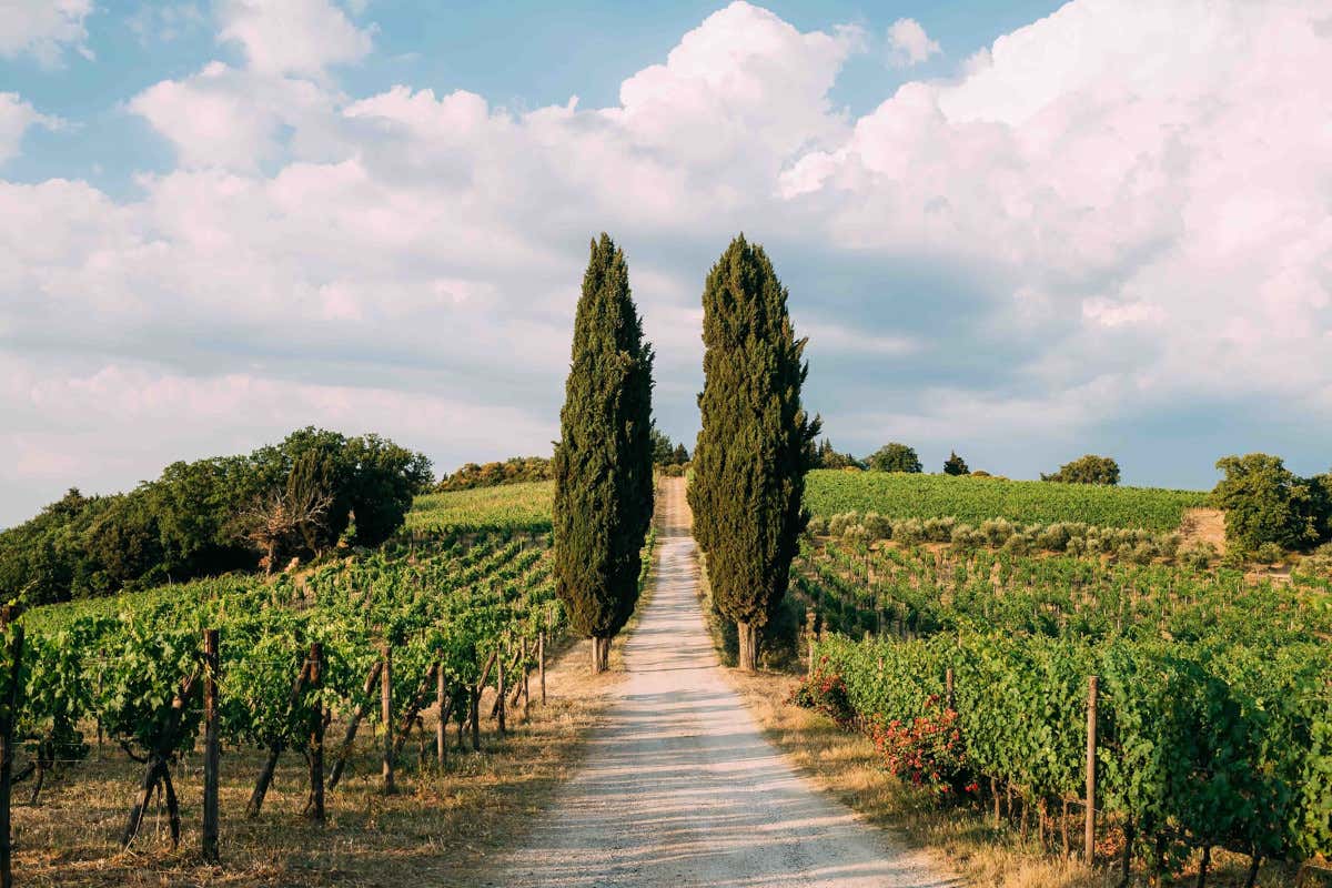 Montefili porta a Roma il volto autentico del Sangiovese tra vigne storiche e sostenibilità