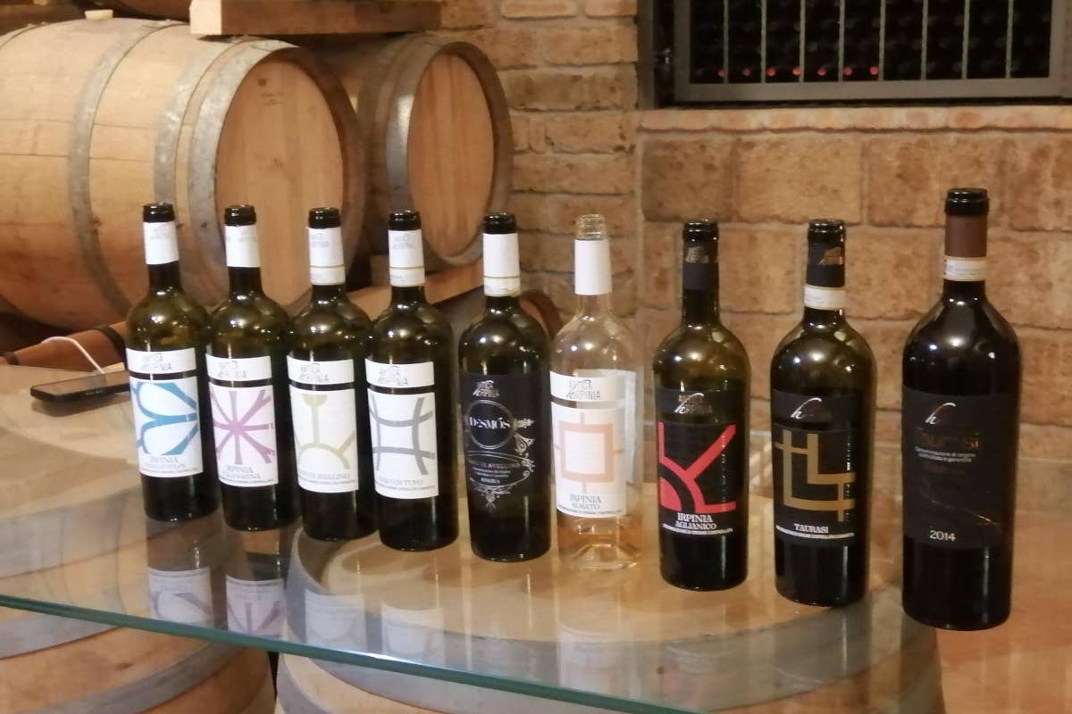 Taurasi: il re dei vini rossi dell'Irpinia e la tradizione di Antica Hirpinia