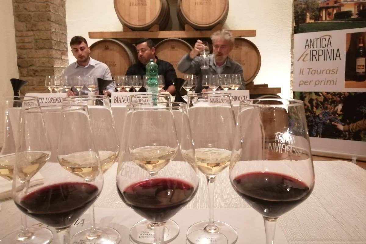 Taurasi: il re dei vini rossi dell'Irpinia e la tradizione di Antica Hirpinia