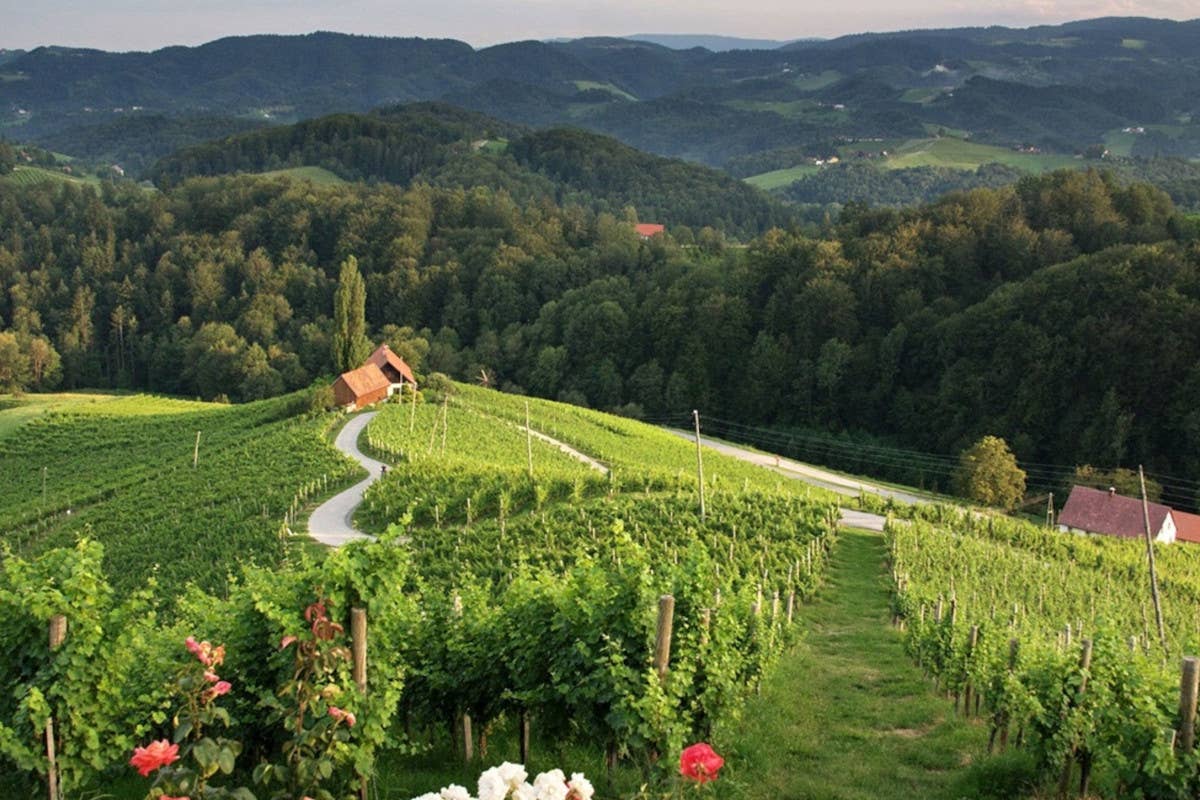 Stiria Slovena: un viaggio tra montagne, castelli, terme e viti secolari