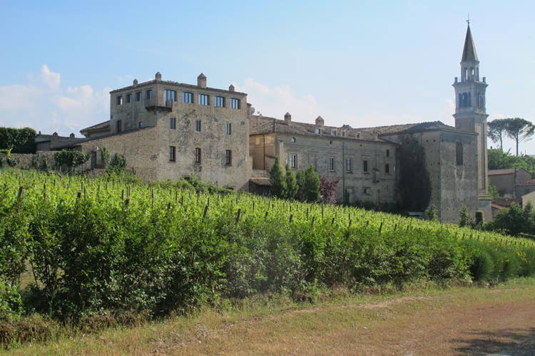 Masciarelli, emozioni nate dalla poesia Nel pensatoio nascono i migliori vini