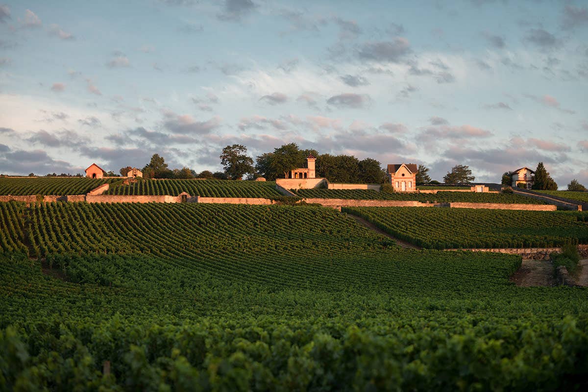 I grandi vini di Borgogna conquistano anche l'Italia