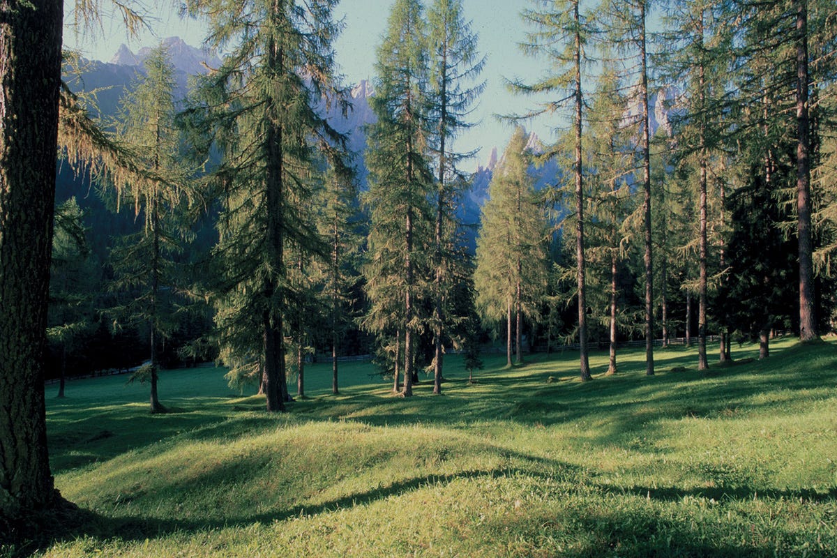 Parco Naturale Monte Corno. Foto: Ufficio Natura Chi non ama le atmosfere autunnali? Idee per un settembre magico in Alto Adige