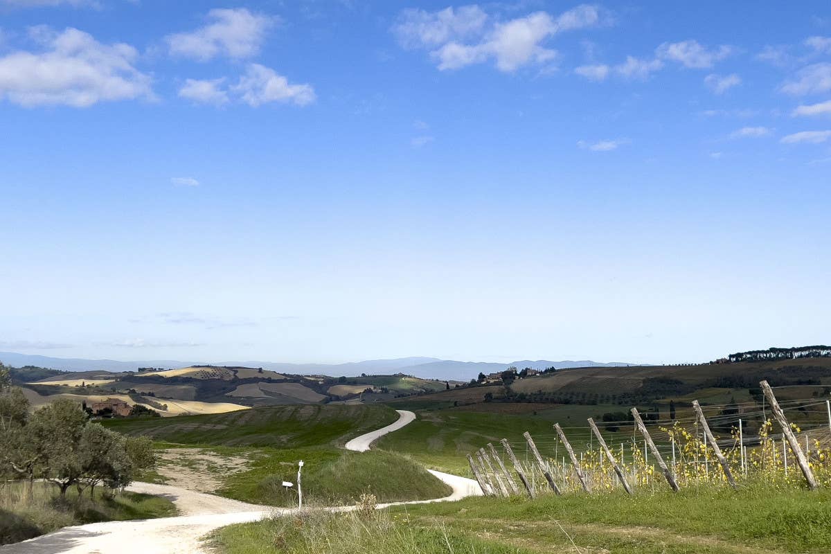 Montepulciano Active, Dieci itinerari inediti per 100 km di percorsi tra vigneti, oliveti e bellezze storiche e architettoniche Montepulciano Active 10 itinerari tra vigneti oliveti e bellezze storiche