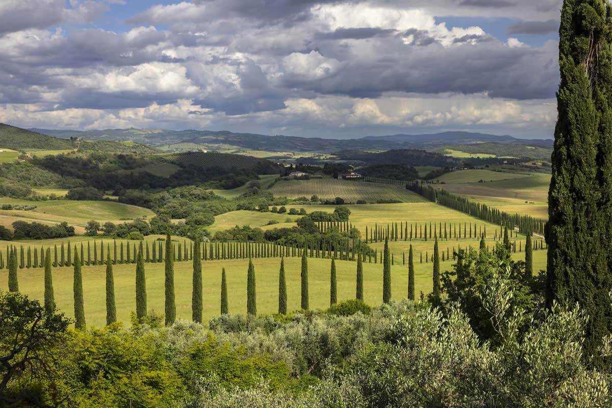 Il Morellino di Scansano si promuove attraverso cicloturismo e mixology Il Morellino di Scansano si promuove attraverso cicloturismo e mixology