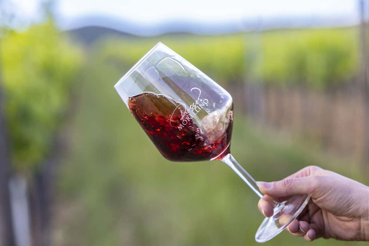 Il Morellino di Scansano si promuove attraverso cicloturismo e mixology Il Morellino di Scansano si promuove attraverso cicloturismo e mixology