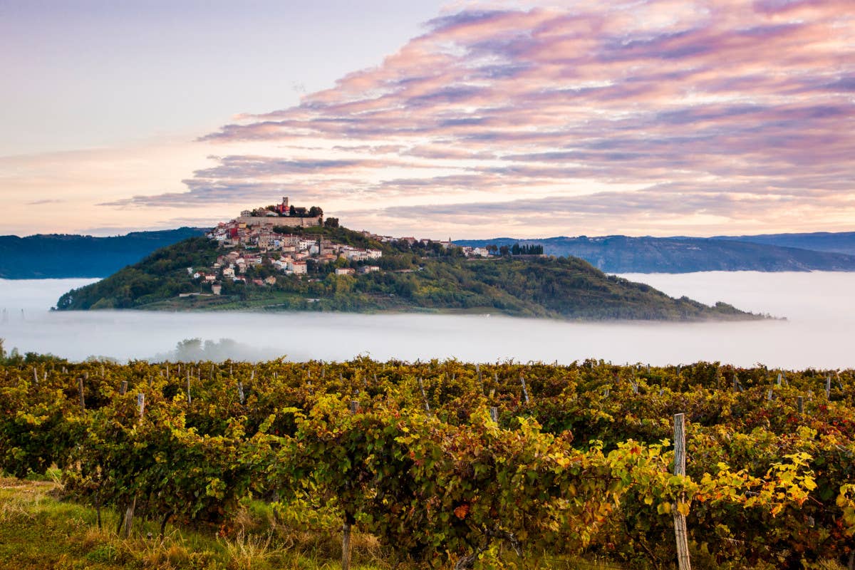 In Istria in autunno: dove il tartufo incontra il gin e le maratone