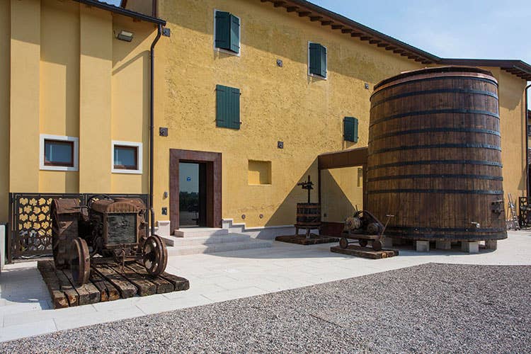 Nasce il Masi Wine Discovery Museum Un percorso alla scoperta del vino