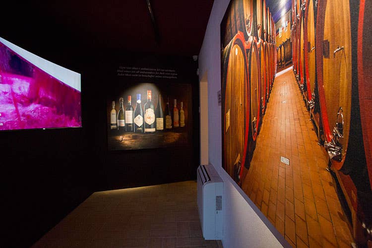 Nasce il Masi Wine Discovery Museum Un percorso alla scoperta del vino