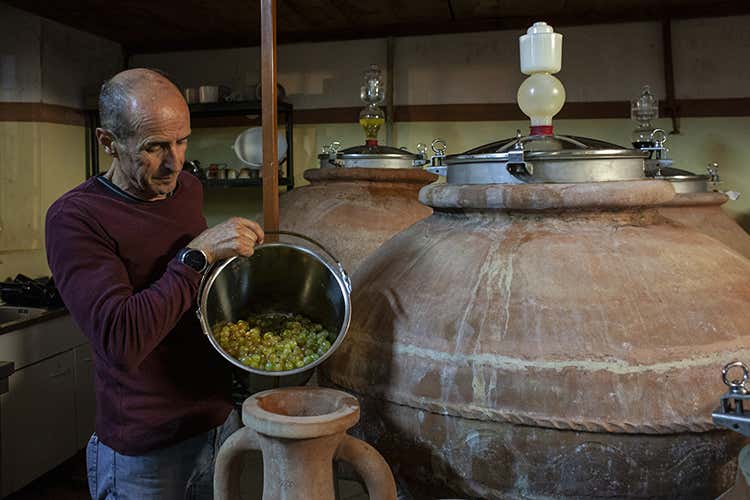 Le anfore dentro le quali matura l'uva (Nesos, il vino che nasce in mare)