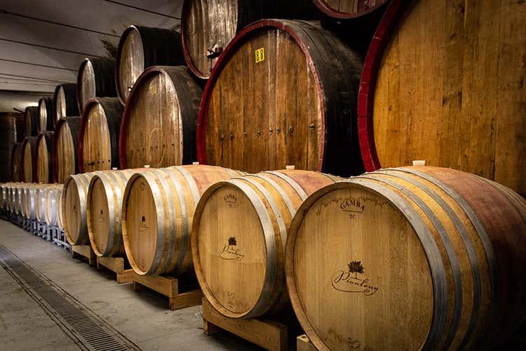  Il Vigna Pianlong &egrave; nato con la vendemia 2017 - Novit&agrave; alla cantina Scuropasso: il Buttafuoco Storico Vigna Pinlong