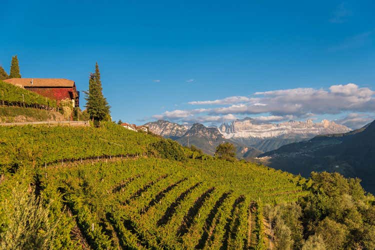 (Nuova Cantina Bolzano Tecnica green a servizio della qualit&agrave;)