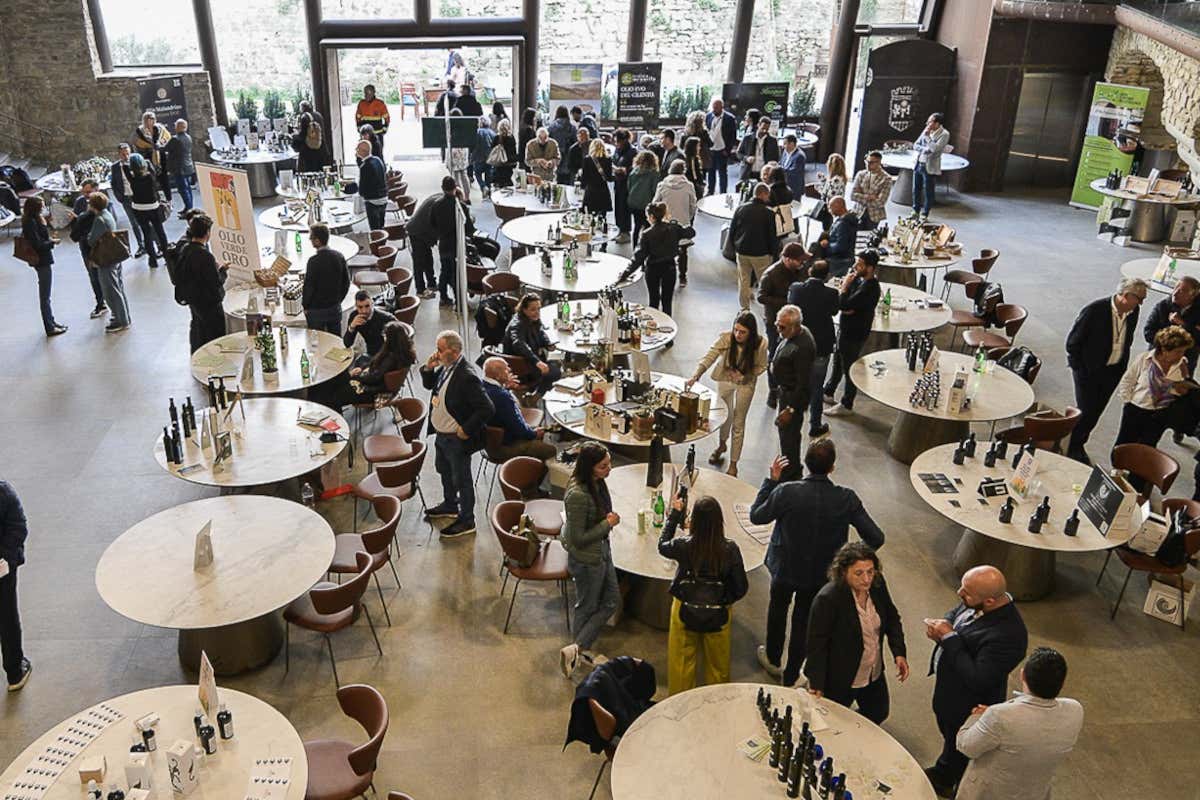 OlivitalyMed 2025: il Cilento torna ad accogliere l'extravergine d'eccellenza OlivitalyMed 2025: il Cilento torna ad accogliere l'extravergine d'eccellenza