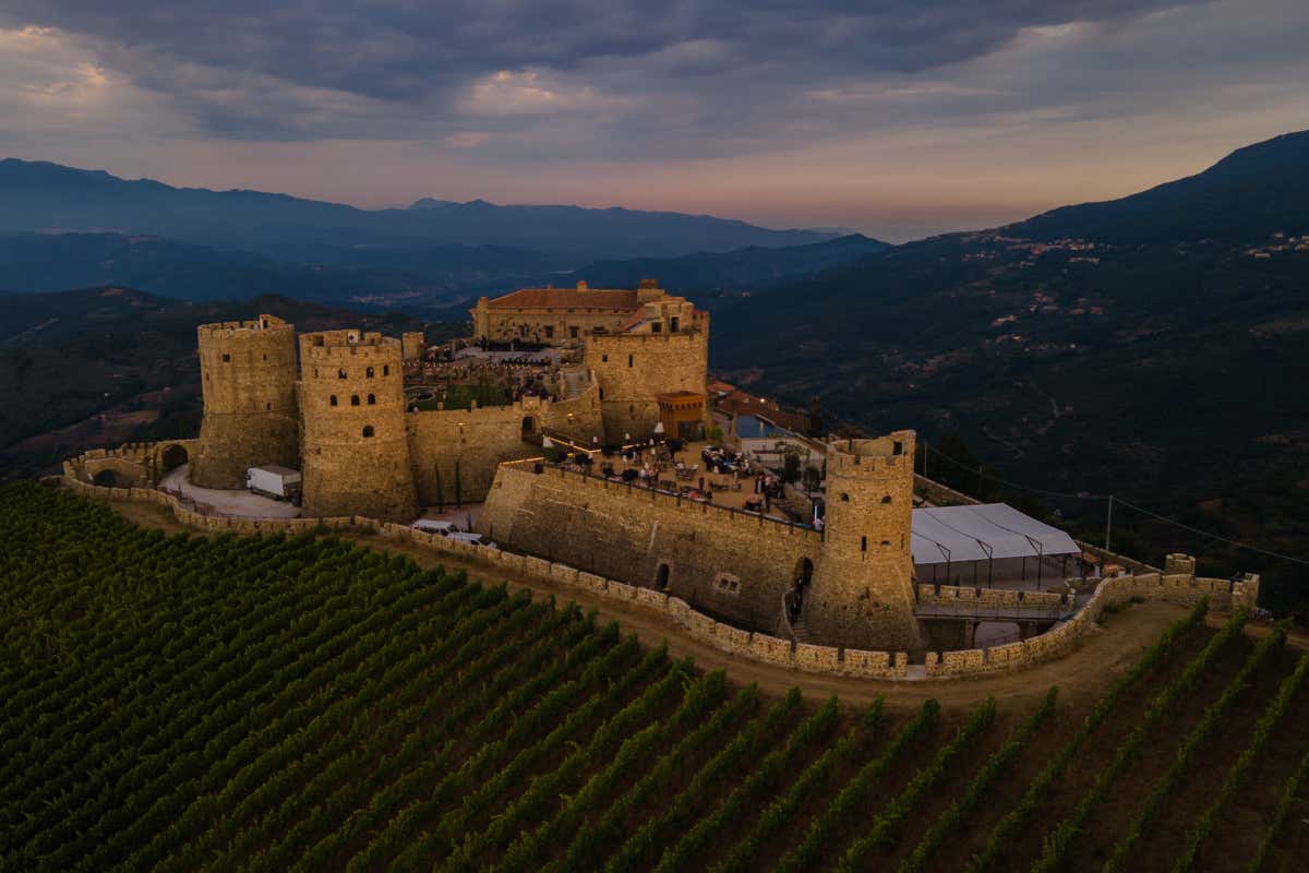 OlivitalyMed 2025: il Cilento torna ad accogliere l'extravergine d'eccellenza OlivitalyMed 2025: il Cilento torna ad accogliere l'extravergine d'eccellenza