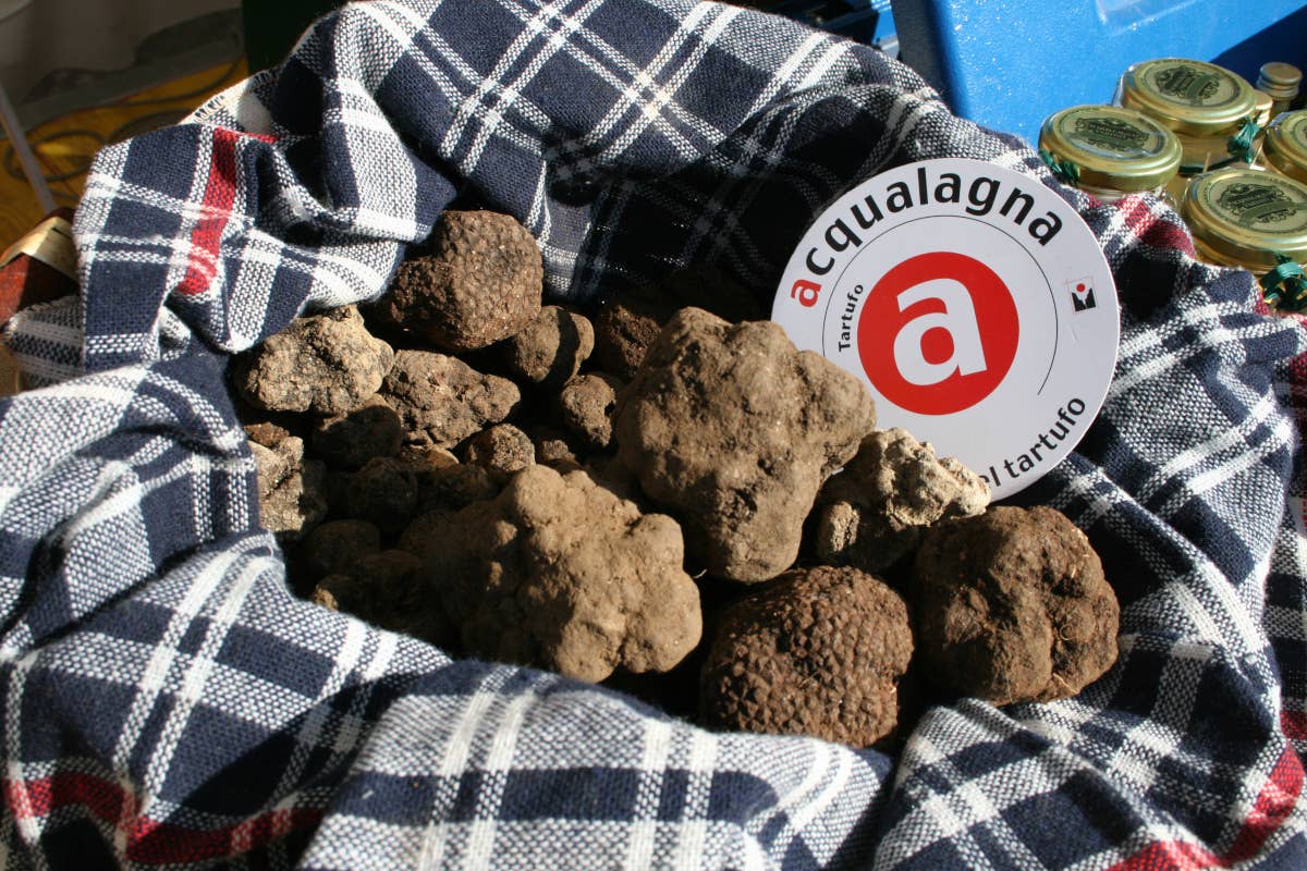 Carnevale al Tartufo: ad Acqualagna una festa di sapori, maschere e tradizione