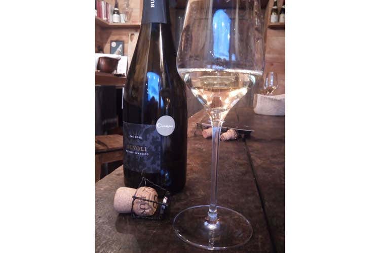 (Opificio del Pinot nero di Gambugliano Esperienza onirica sui colli Pre Lessini)