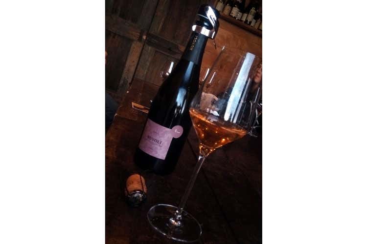 (Opificio del Pinot nero di Gambugliano Esperienza onirica sui colli Pre Lessini)