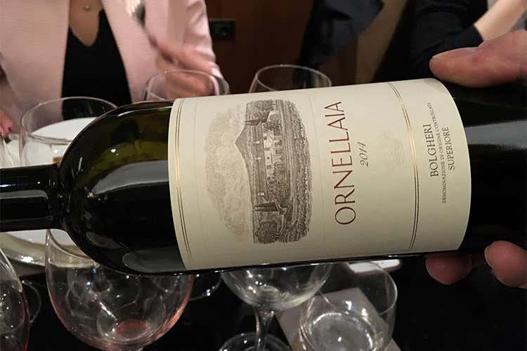 Ornellaia espressione del territorio I segreti delle sue basi e dei vigneti Ornellaia espressione del territorio I segreti delle sue basi e dei vigneti