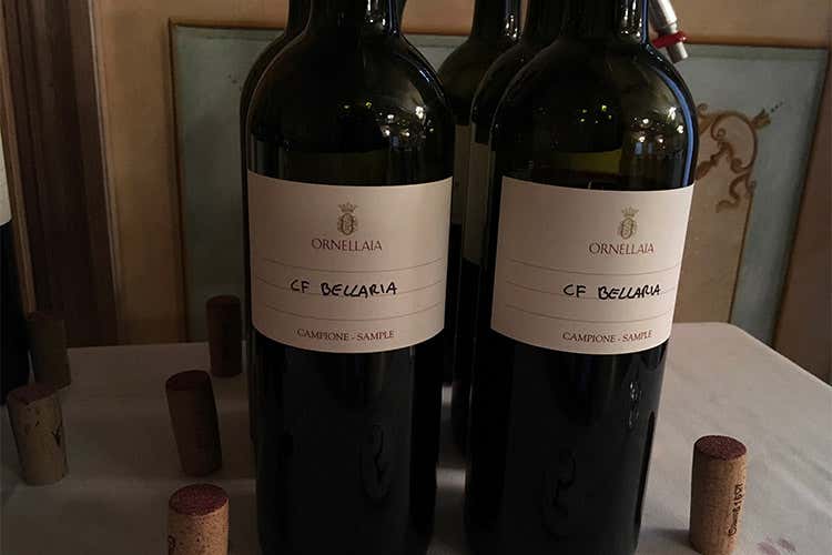 Ornellaia espressione del territorio I segreti delle sue basi e dei vigneti Ornellaia espressione del territorio I segreti delle sue basi e dei vigneti