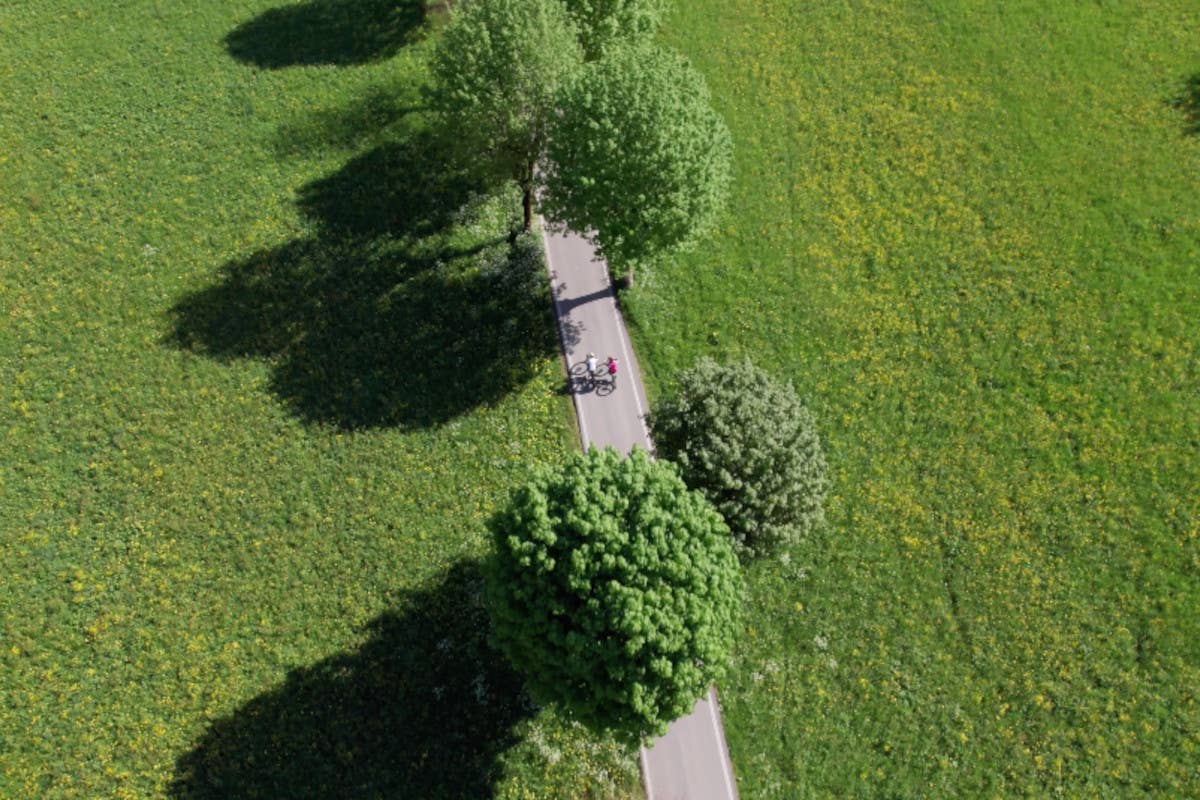 La ciclovia più verde d'Italia nel 2024 è la Pedemontana in Friuli Venezia Giulia