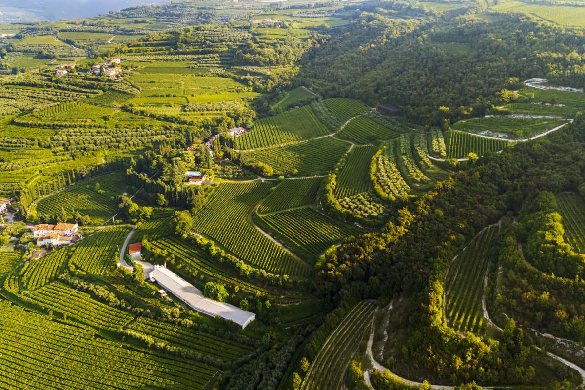 In Valpolicella i vignaioli di Mezzane presentano la prima Carta dei Suoli 3D In Valpolicella i vignaioli di Mezzane presentano la prima Carta dei Suoli 3D