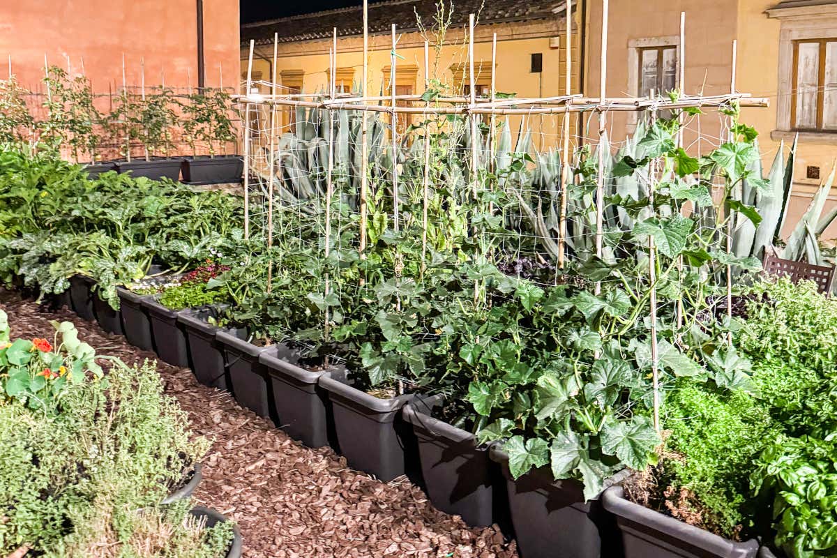 Barbagianni, un viaggio tra sapori toscani e suggestioni internazionali
Barbagianni, un viaggio tra sapori toscani e suggestioni internazionali